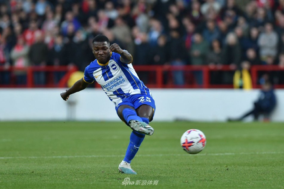 数据显示 数据显示