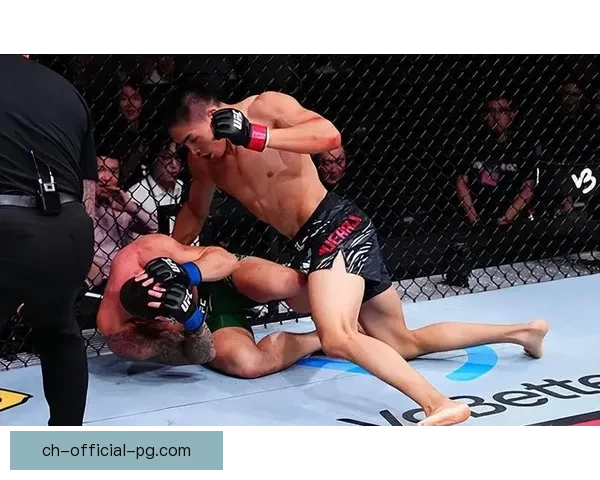 2026UFC赛事：激烈角逐与冠军争夺