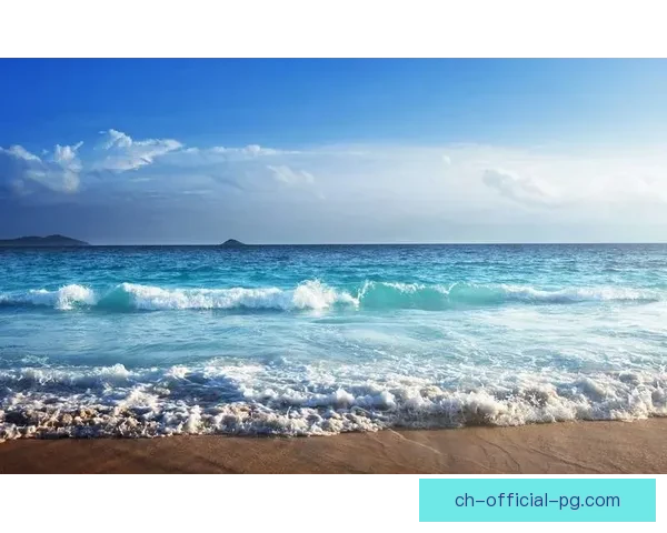 2021冲浪赛事精彩纷呈，选手实力齐飞，引爆海浪热潮