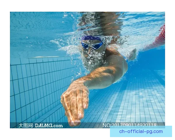 全新视角：游泳公开赛探秘与分享