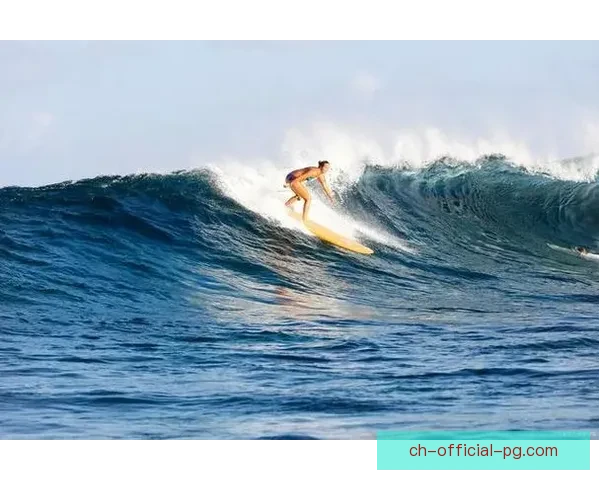 全球冲浪冠军榜：跟随风浪，追逐海浪，争霸顶峰