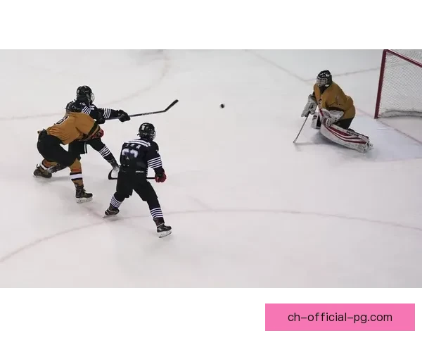 冰球数据深度解析:洞悉胜负关键因素 冰球数据深度解析:洞悉胜负关键因素