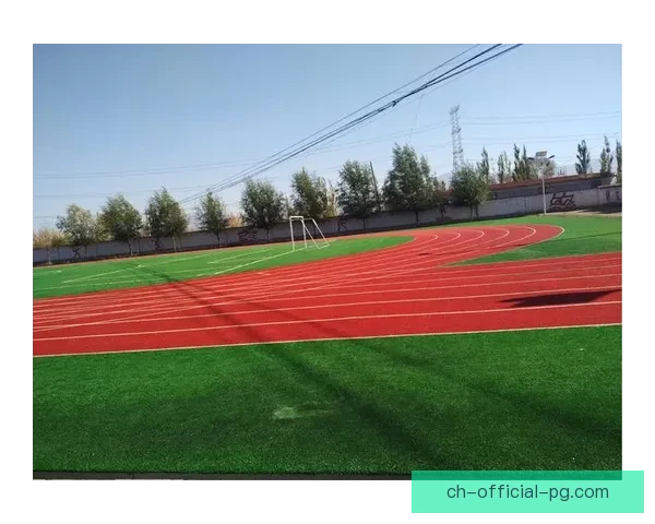 揽尽荣耀：越野跑冠军的辉煌征程