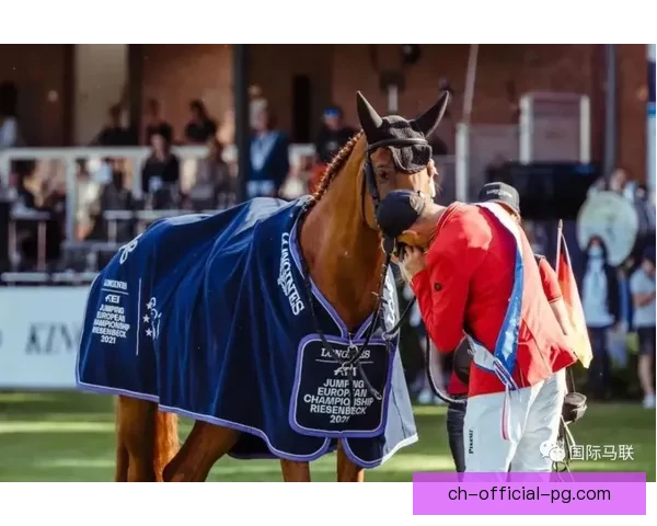 橄榄球热潮：战力对决，挑战冠军，争夺荣耀